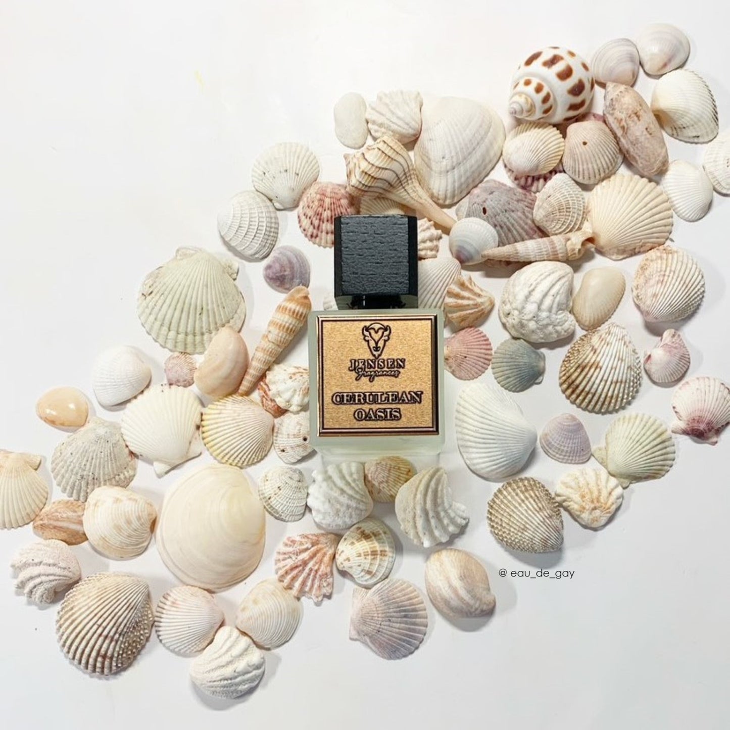 Cerulean Oasis - Jensen Fragrances