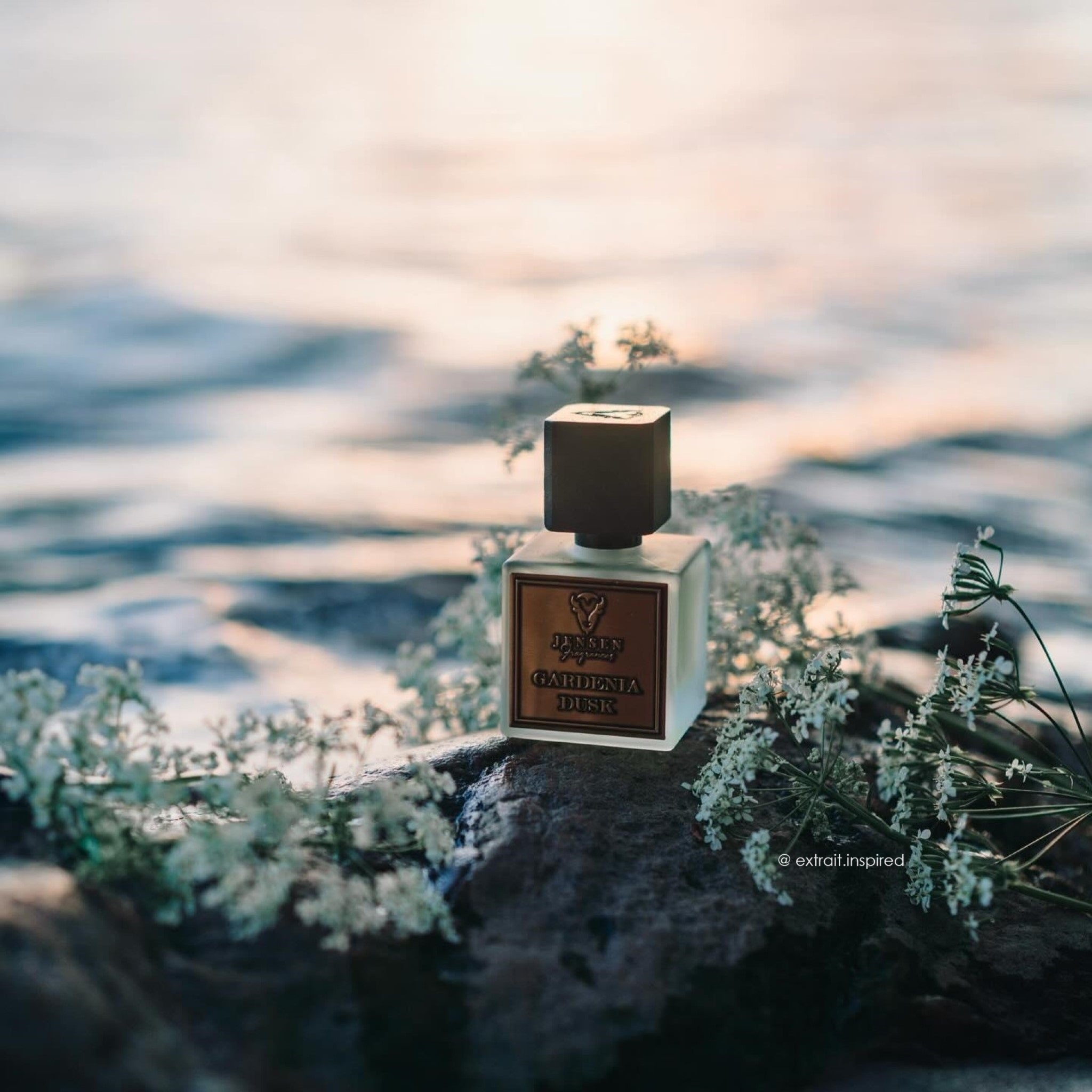 Gardenia Dusk – Jensen Fragrances